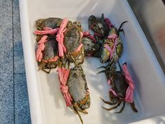 -长平老姿娘夜粥(平东一街店)