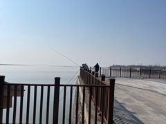 -洪湖湿地生态园