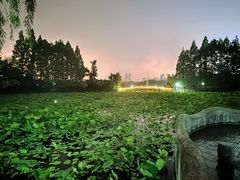 -黄兴公园