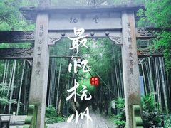 -云栖竹径