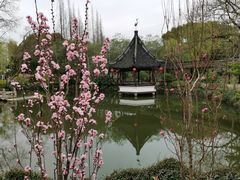 -上海醉白池公园