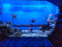 -太平洋海底世界