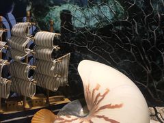 -海合安青岛极地海洋公园