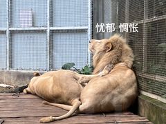 -南宁市动物园