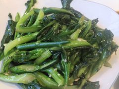 -鸽小宝(深圳首店)