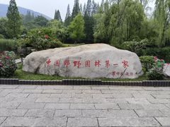 -习家池