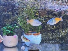 -老井俄式餐厅