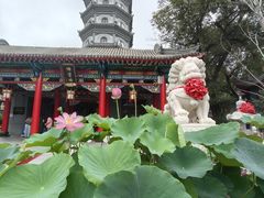 -哈尔滨极乐寺