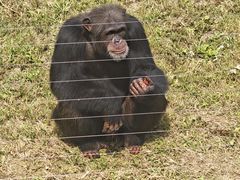 -石家庄市动物园