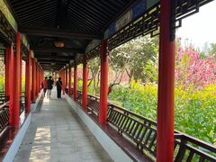 -南汇桃花村