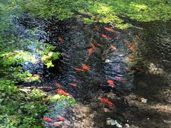 -水磨沟公园