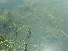 -太湖湖滨国家湿地公园-停车场