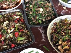 -铁山坪森林公园