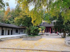 -苏州上方山国家森林公园