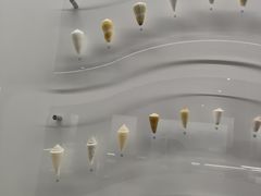 -贝壳王国博物馆