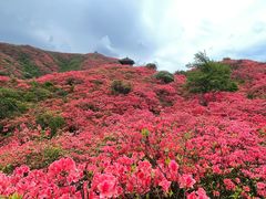 -大围山国家森林公园