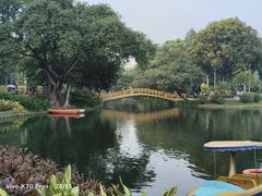 -晓港公园
