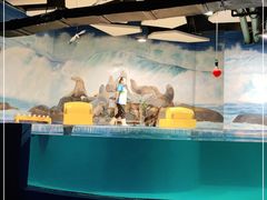 -梦幻海洋王国(吾悦广场张家港店)