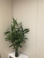 -上海时光整形外科医院