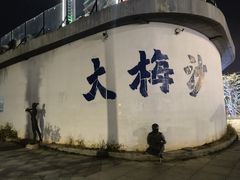 -大梅沙海滨公园