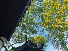 -拙政园