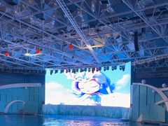 -海合安青岛极地海洋公园