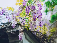 -老门东历史文化街区