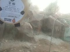-北戴河集发农业梦想王国