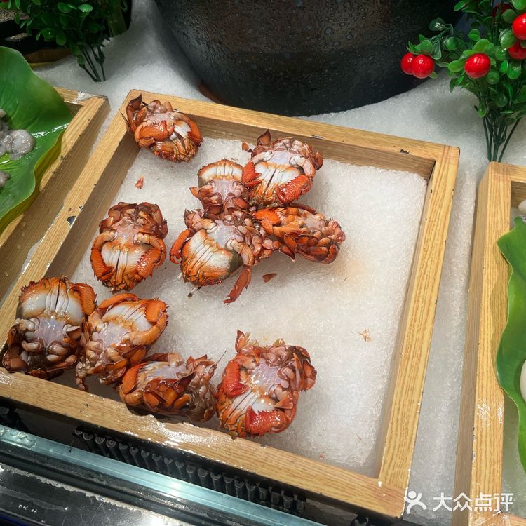 🌟无锡海鲜放题天花板|实现三文鱼+和牛双自由