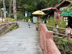 -藏龙百瀑风景区