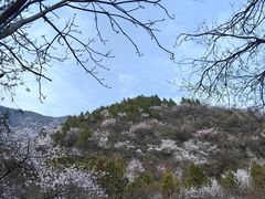 -鹫峰国家森林公园