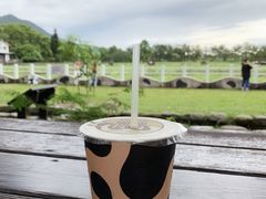 -瑞穗牧场