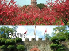 -广州莲花山旅游区