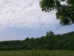 -羊山湖公园