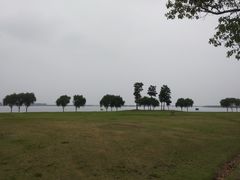 -漕湖湿地公园