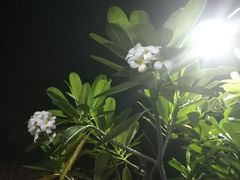 -水都餐厅