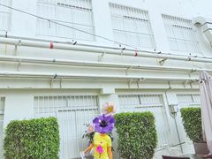 -广州白马服装市场