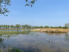 -野鸭湖国家湿地公园