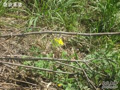 -碓臼峪自然风景区