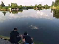 -白洋淀景区