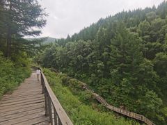 -苏木山森林公园