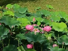 -沐仙湖湿地公园
