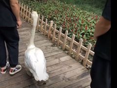 -艾溪湖湿地公园