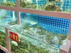 -冶建镜子·老南昌大排档·江西虾王(总店)