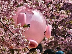 -上海辰山植物园