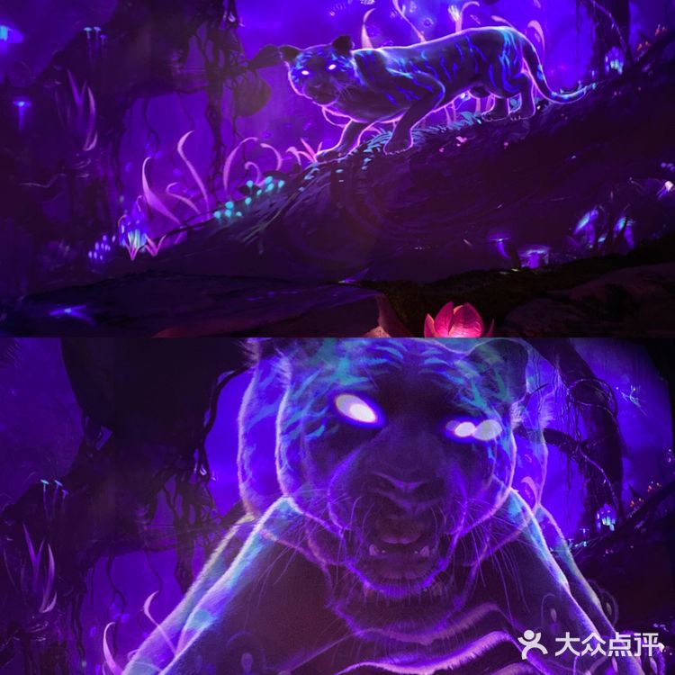 大连游玩｜和我一起探索星河的奥秘㊙️