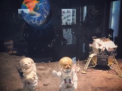 -济州岛泰迪熊博物馆