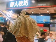 -野人先生现做冰淇淋(西安赛格店)