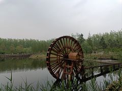 -合肥滨湖国家森林公园