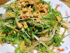 果碎苦菊-大闫家烧烤·小海鲜家常菜(郑庄店)